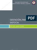 Gestacion Parto Distocia