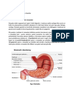 Tema e Diplomes Kanceri Gastrik