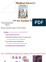 Lecture 4 Approach To Medical Diseases of The Equine Large Colon