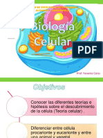 Biologia Celular Electivo Célula 4º Medio A B C D