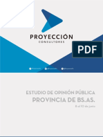 Encuesta Proyección Consultora