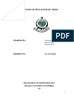 Types of Phylogenetic Trees