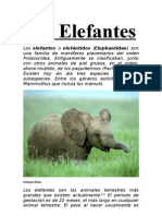 Los Elefantes