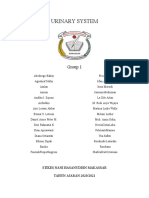 Materi Urinary System Bhs Inggris