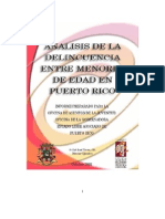 Analisis Delicuencia