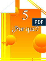 5 Porque S-Aplicacion