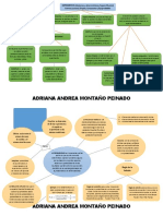 Mapa Conceptual