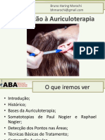 Introdução A Auriculoterapia Mapa Prof Bruno Marochi