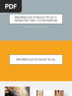 Justificación de La Propiedad Intelectual