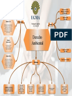 Mapa Conceptual Derecho Ambiental