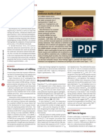 A New Genetic Form of Autism: Antitumor Duality of Apoe