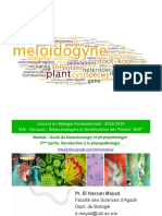 Cours Phytonematologie 17 Avril 2019