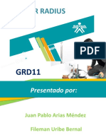 Radius Ldap Furibe Jarias