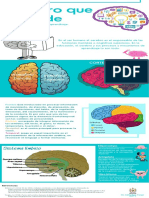 Cerebro Que Aprende