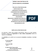 Olymerase Hain Eaction Ou PCR Reaction en Chaine de La Polymerase