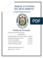 Registro de Porosidad Grupo N 2