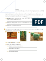 Teste Ciencias 5 Ano Terra Protecao Da Biodiversidade Vegetal