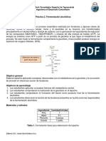 Práctica 2. Fermentación Alcohólica