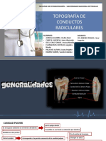 Topografía de Conductos Radiculares