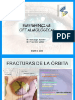 Emergencias Oftalmologicas. Mariangel y Francisco