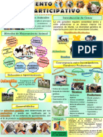 Mejoramiento Animal Participativo. Infografia