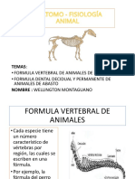 Lectura Fórmula Vertebral, Dentaria (PPT) - Wellington Montaguano