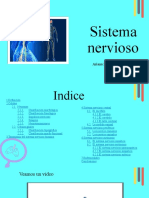 E.C 2-Sistema Nervioso