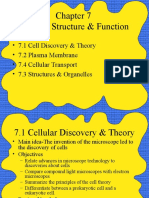 Cellular Structure & Function