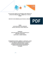 Anexo 1 - Plantilla Excel - Evaluación Proyectos - Mermelada Papaya CORRECCION