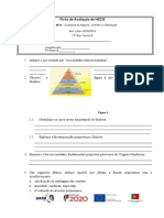 Ficha de Avaliacao UFCD 6574 HSCG