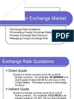 The Foreign Exchange Market