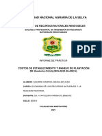 Informe Final de Economía-Aguirre Campos.