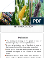 HYBRIDIZATION