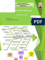 Resumen y Opinion Gestion de Proyectos