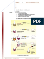 La - Replicacion - Del - ADN - Lectura