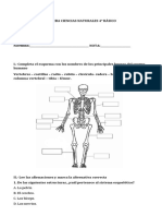 Prueba Sistema Locomotor