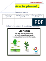 La Planta y Sus Partes