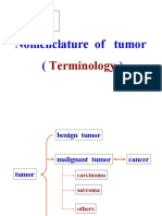 Section 3: Nomenclature of Tumor