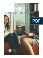 Psicologia Organizacional