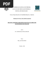 Ramallo, Anabella Dayana Roxana (2020) - Rol Del Auditor e Identificación de Las Áreas de Mayor Riesgo de Fraude