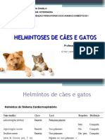 Aula 3. Helmintoses em Cães e Gatos