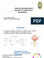 Diapositiva G-1 Transporte y Metabolismo de Los Lipidos