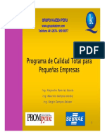 Progama Calidad Total Pymes