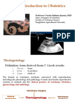 Introduction To Obstetrics: Professor Nasrin Sultana Juyena, PHD