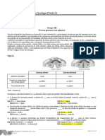 17 - Teste - 10.6 ASA Transporta PL CC