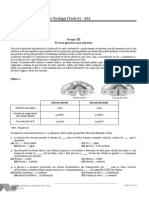 17 - Teste - 10.6 ASA Transporte PL