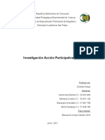 Investigación Acción Participativa (Informe)