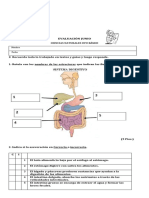 8° Básico Cs Naturales Guía Autoevaluación