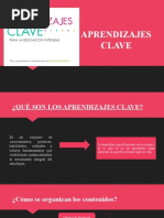 Aprendizajes Clave