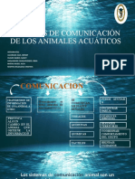 Sistemas de Comunicacion de Animales Acuaticos 05